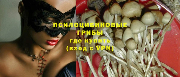 ешки Краснотурьинск